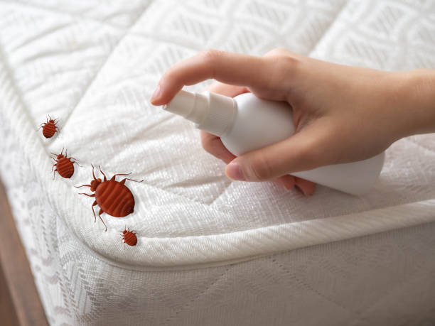 Best Pest Prevention Services  in Hays, MT