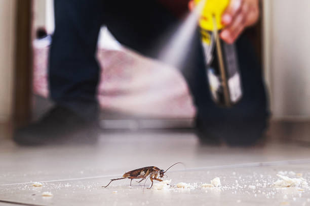 Best Affordable Pest Control Services  in Hays, MT